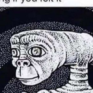 Meet your Posher, Nathan